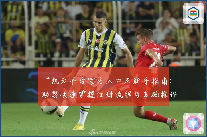 “凯云平台官方入口及新手指南：助您快速掌握注册流程与基础操作”