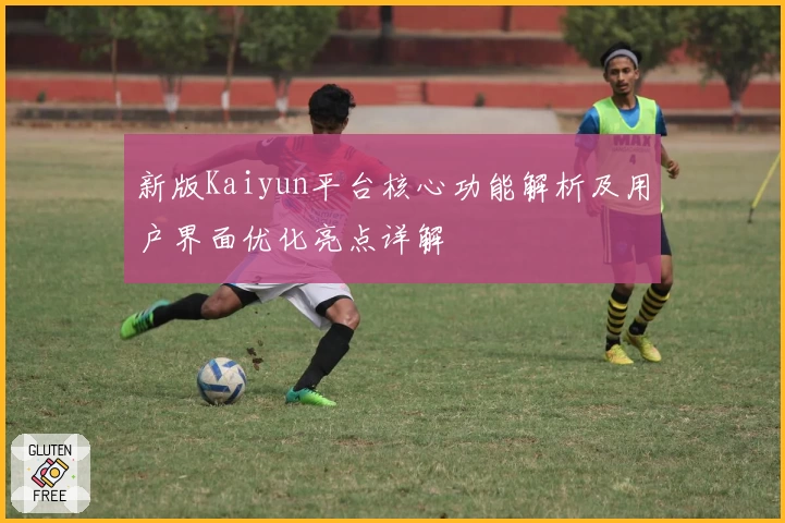 新版Kaiyun平台核心功能解析及用户界面优化亮点详解